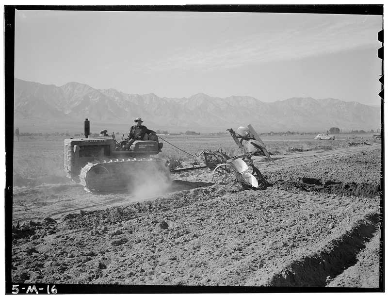 Illustration for article titled Internment of Japanese-Americans, Seen Through The Lens Of Ansel Adams